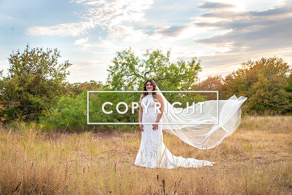 Kelly Stark Photography Fort Worth, Texas
