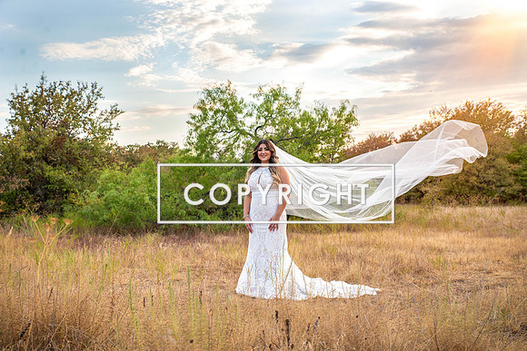 Kelly Stark Photography Fort Worth, Texas