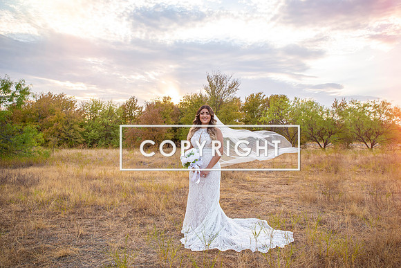 Kelly Stark Photography Fort Worth, Texas