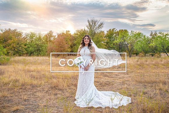 Kelly Stark Photography Fort Worth, Texas