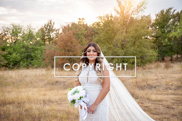 Kelly Stark Photography Fort Worth, Texas