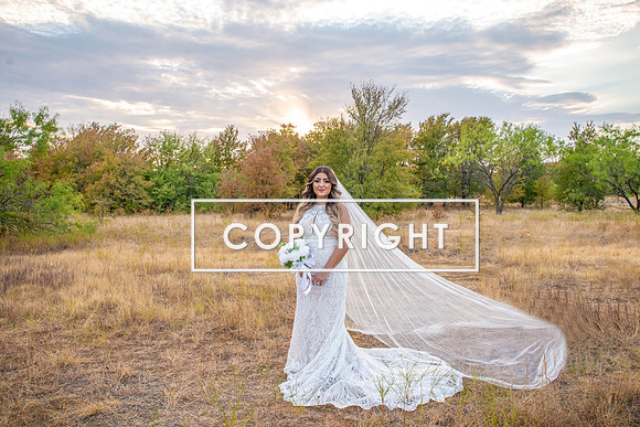 Kelly Stark Photography Fort Worth, Texas