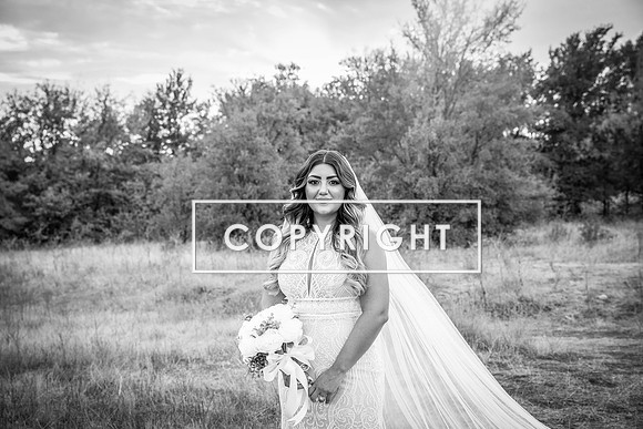 Kelly Stark Photography Fort Worth, Texas
