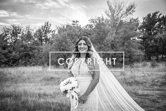 Kelly Stark Photography Fort Worth, Texas