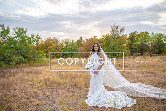 Kelly Stark Photography Fort Worth, Texas