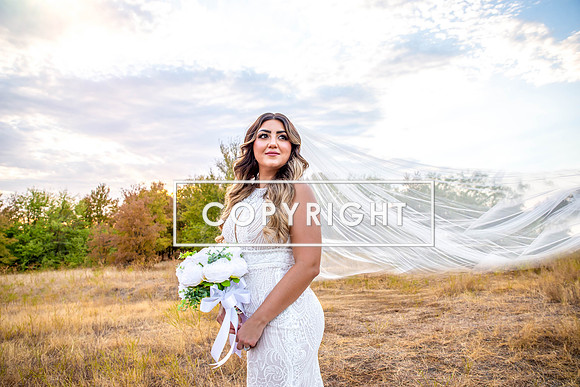 Kelly Stark Photography Fort Worth, Texas