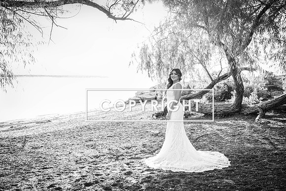 Kelly Stark Photography Fort Worth, Texas