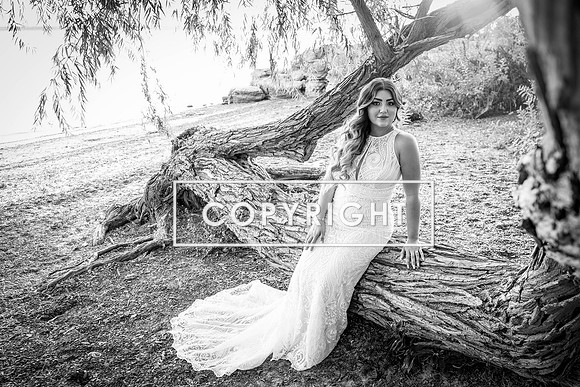 Kelly Stark Photography Fort Worth, Texas
