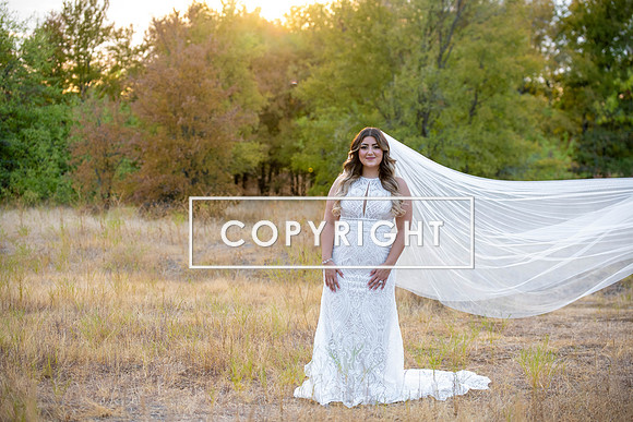 Kelly Stark Photography Fort Worth, Texas