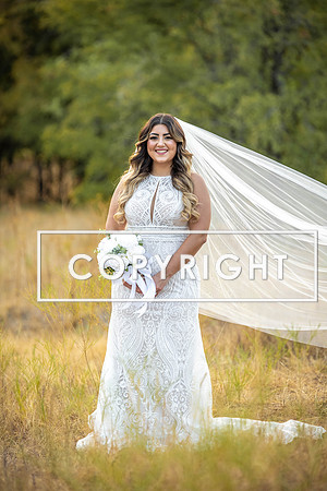 Kelly Stark Photography Fort Worth, Texas