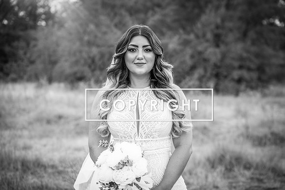 Kelly Stark Photography Fort Worth, Texas
