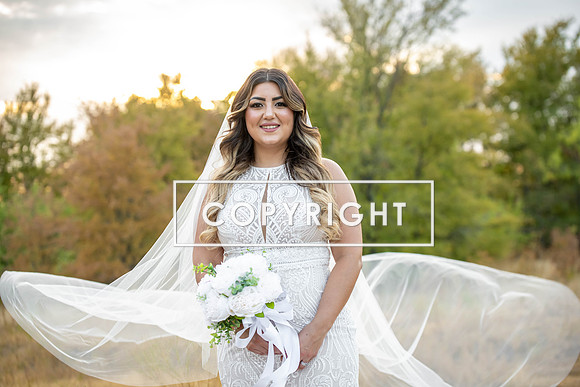 Kelly Stark Photography Fort Worth, Texas