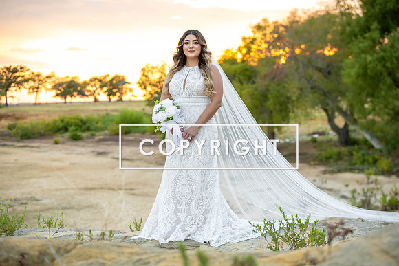 Kelly Stark Photography Fort Worth, Texas