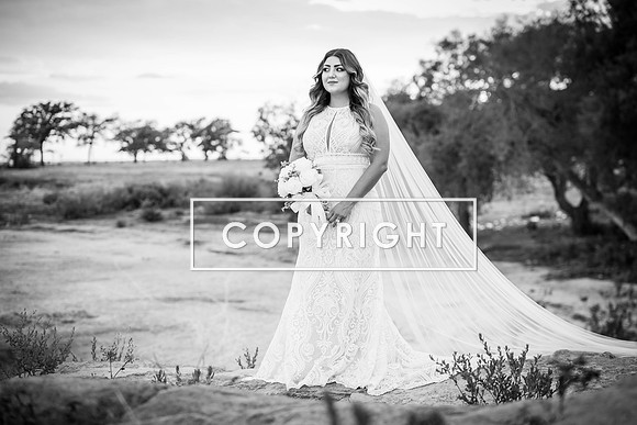 Kelly Stark Photography Fort Worth, Texas