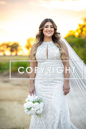 Kelly Stark Photography Fort Worth, Texas