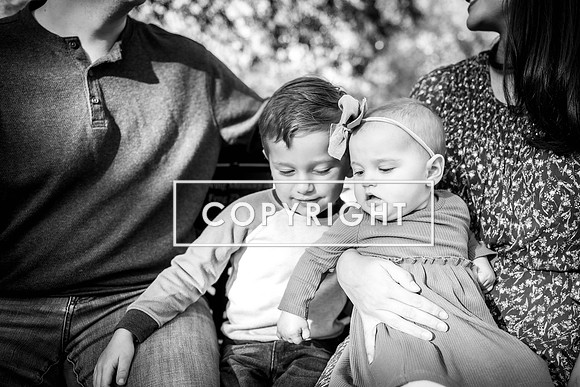 Kelly Stark Photography Fort Worth, Texas